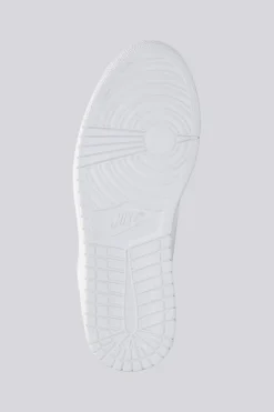 Jordan Acces Court Low