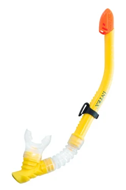 Kit Para Bucear Máscara Y Tubo Wave Rider Intex