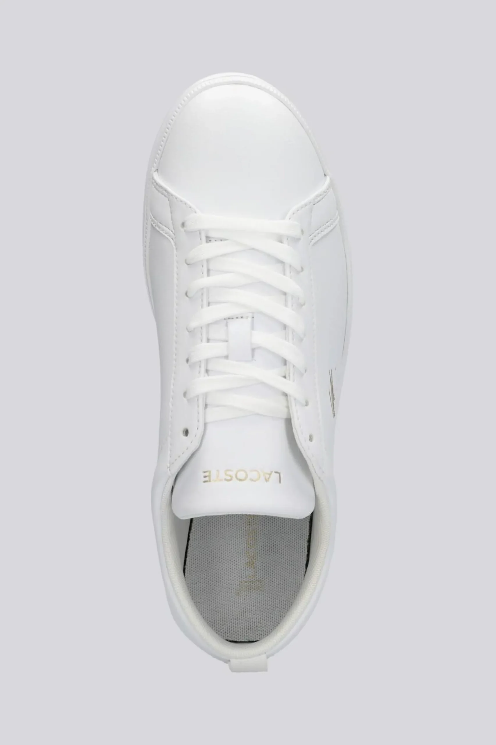 Lacoste Court Base