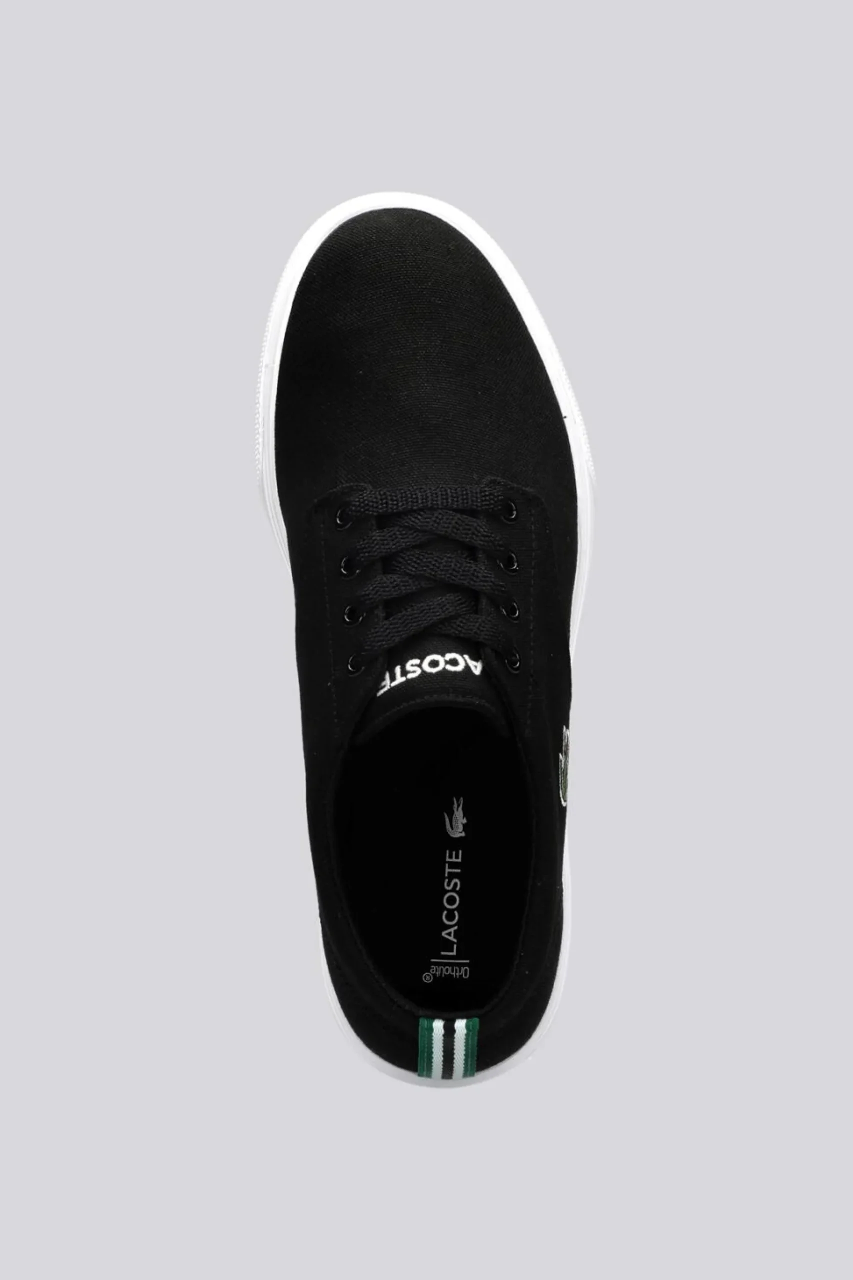 Lacoste Grip Base