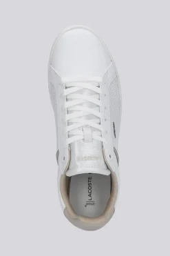 Lacoste Lite Base