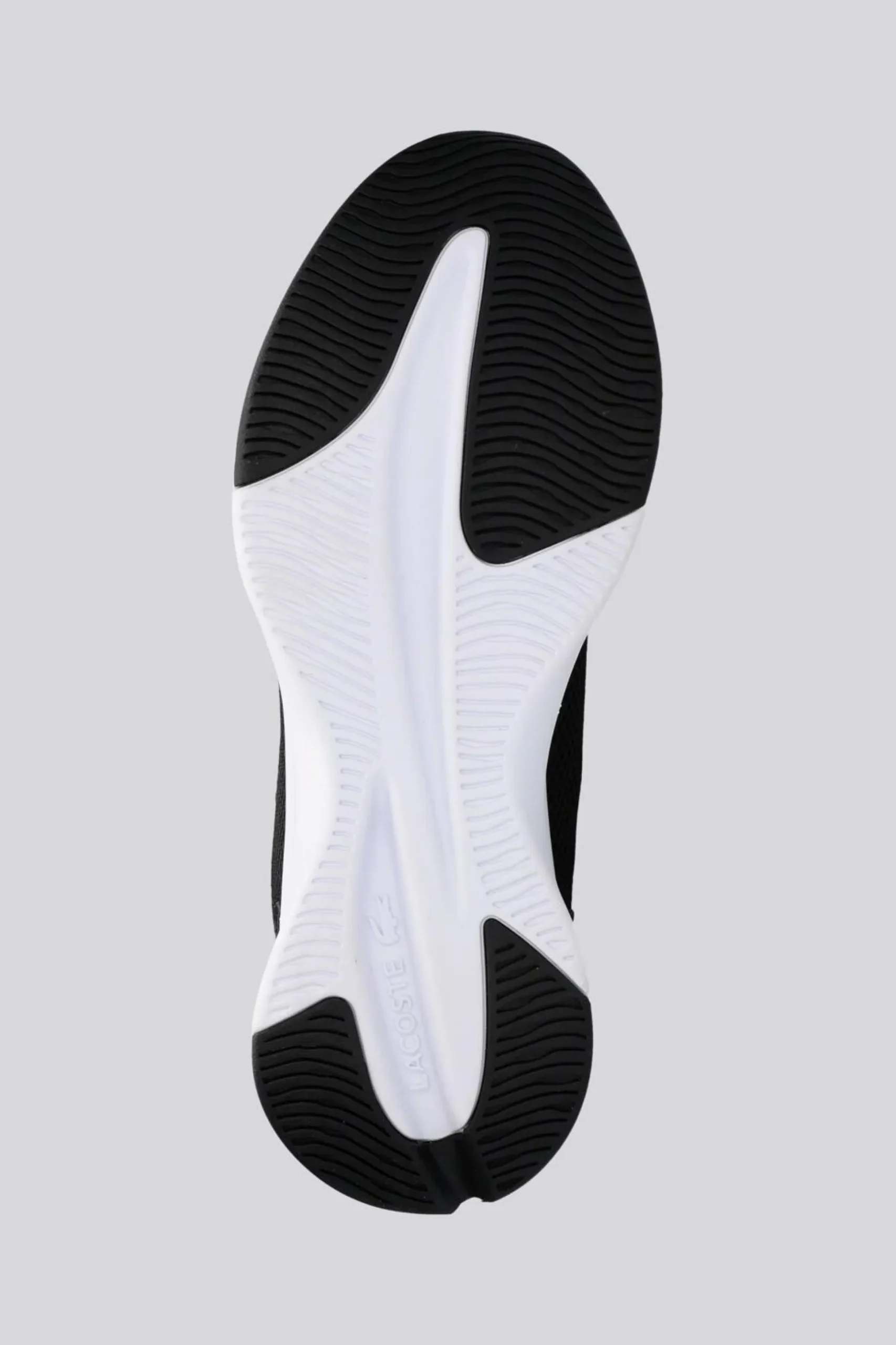 Lacoste Neo Run Base