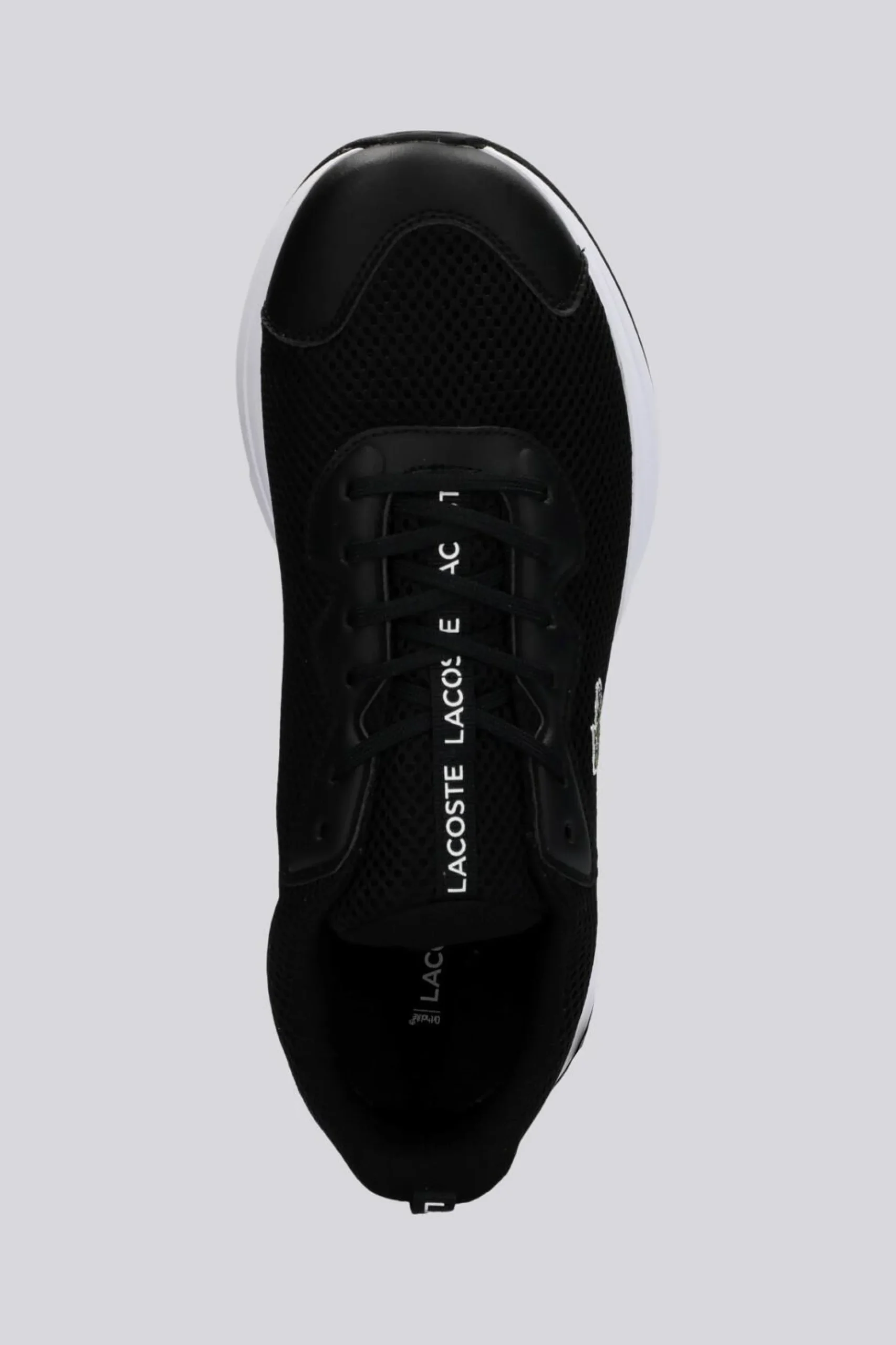 Lacoste Neo Run Base
