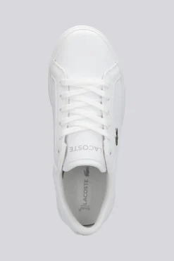 Lacoste Powercourt
