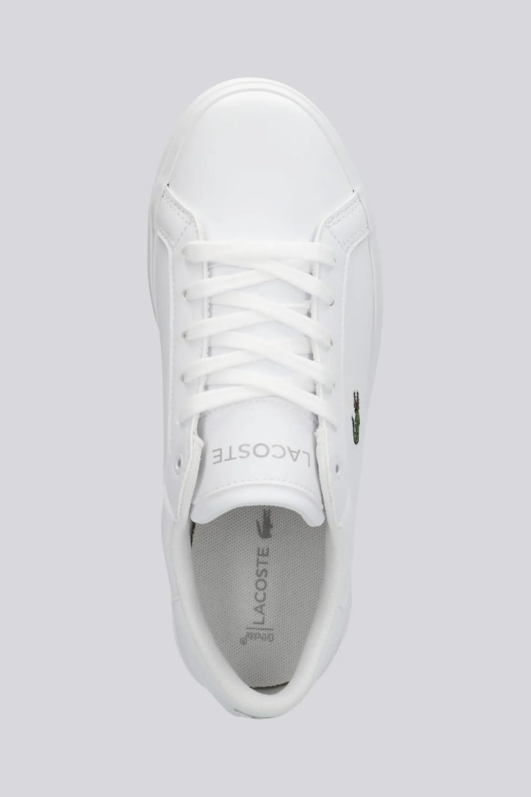 Lacoste Powercourt
