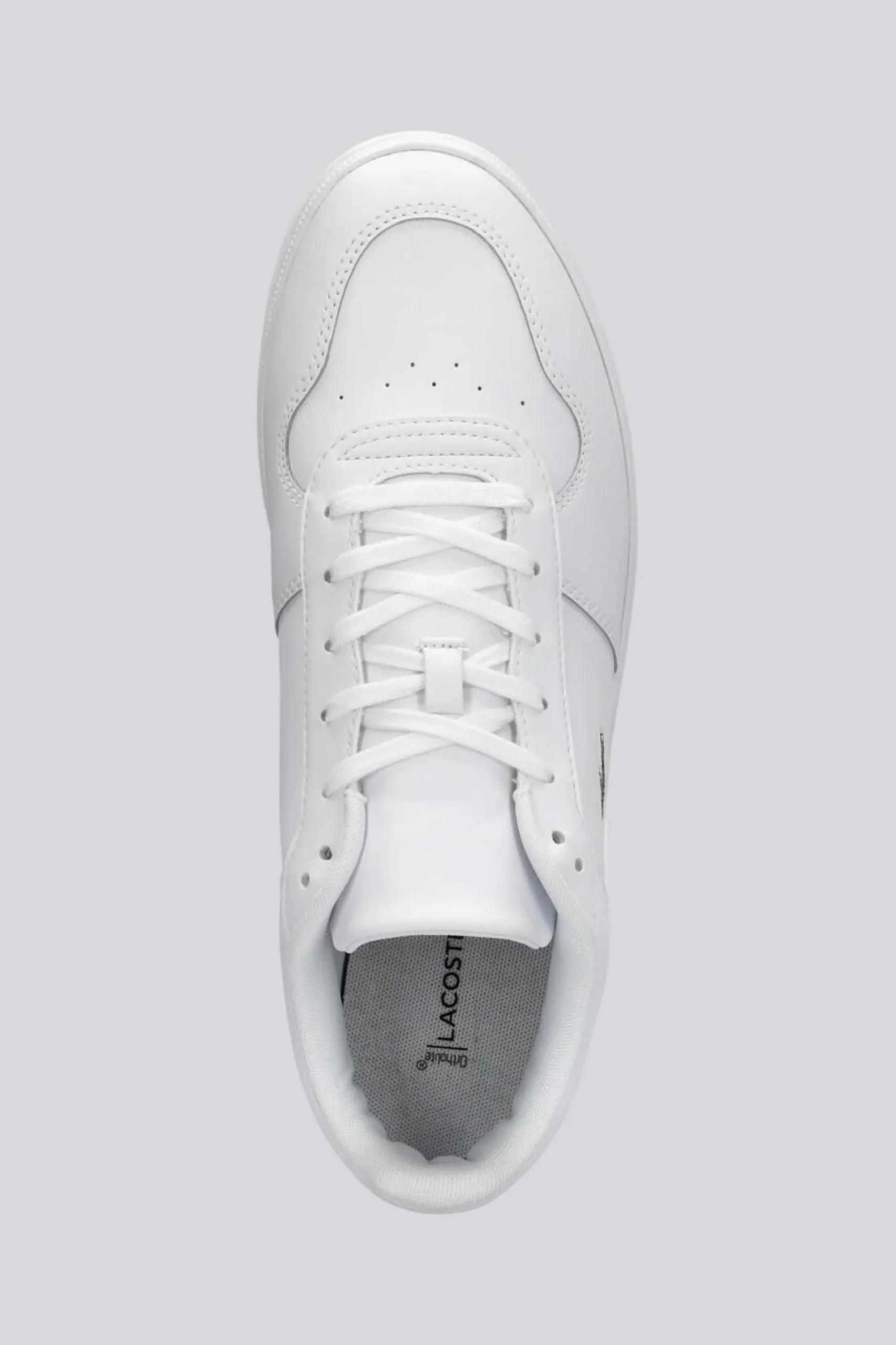 Lacoste T Base
