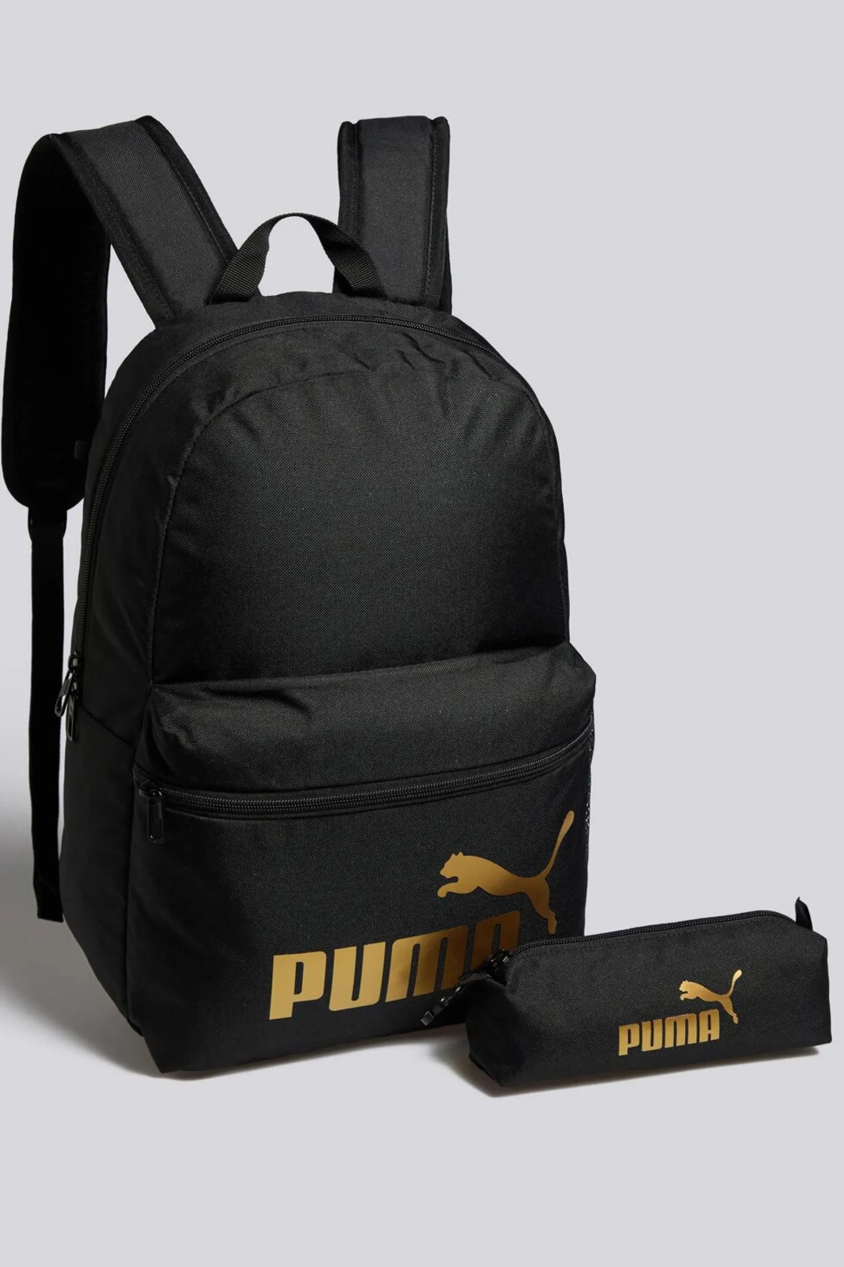 Mochila Instituto Puma Phase