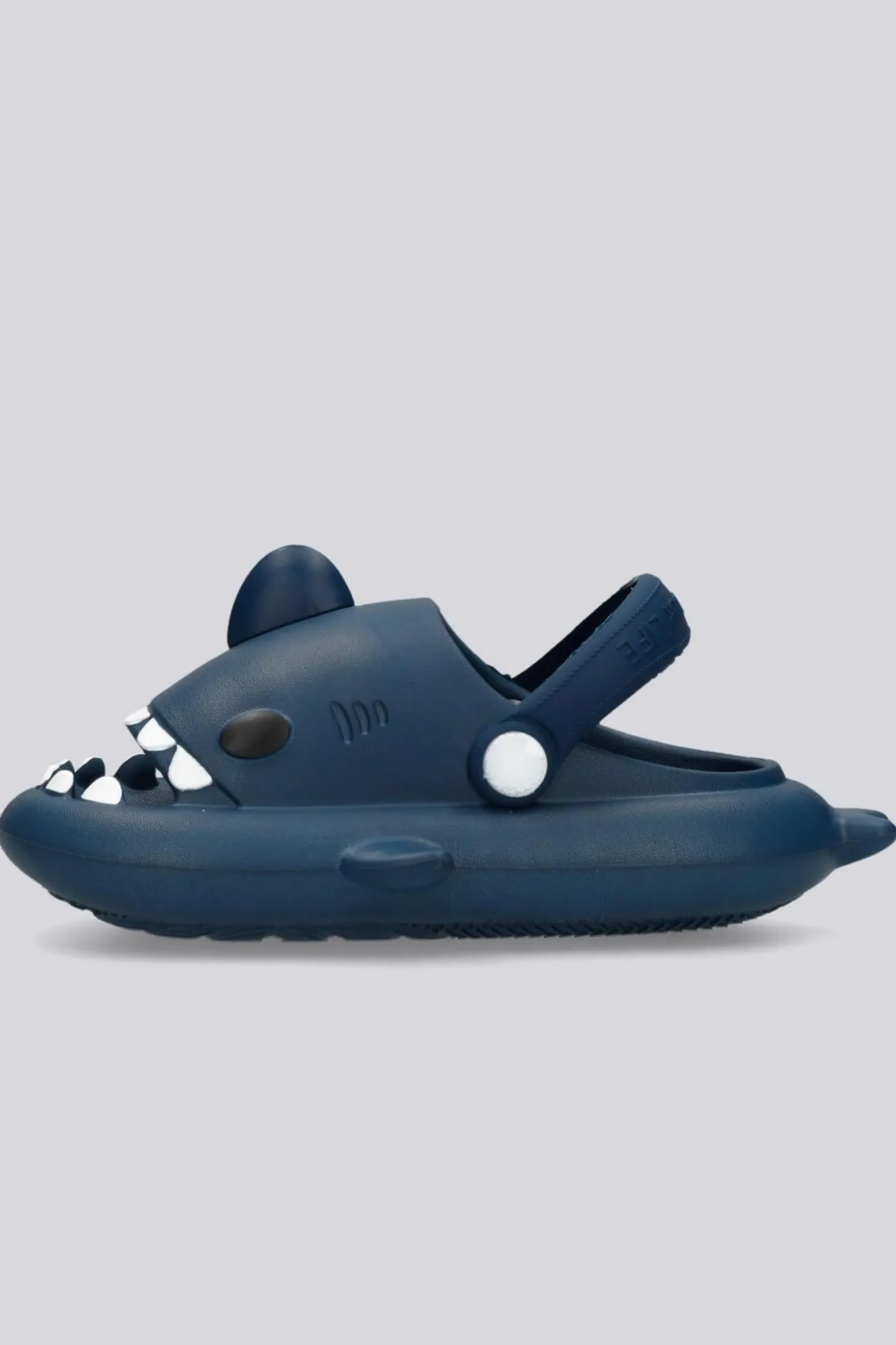 Nicoboco Shark