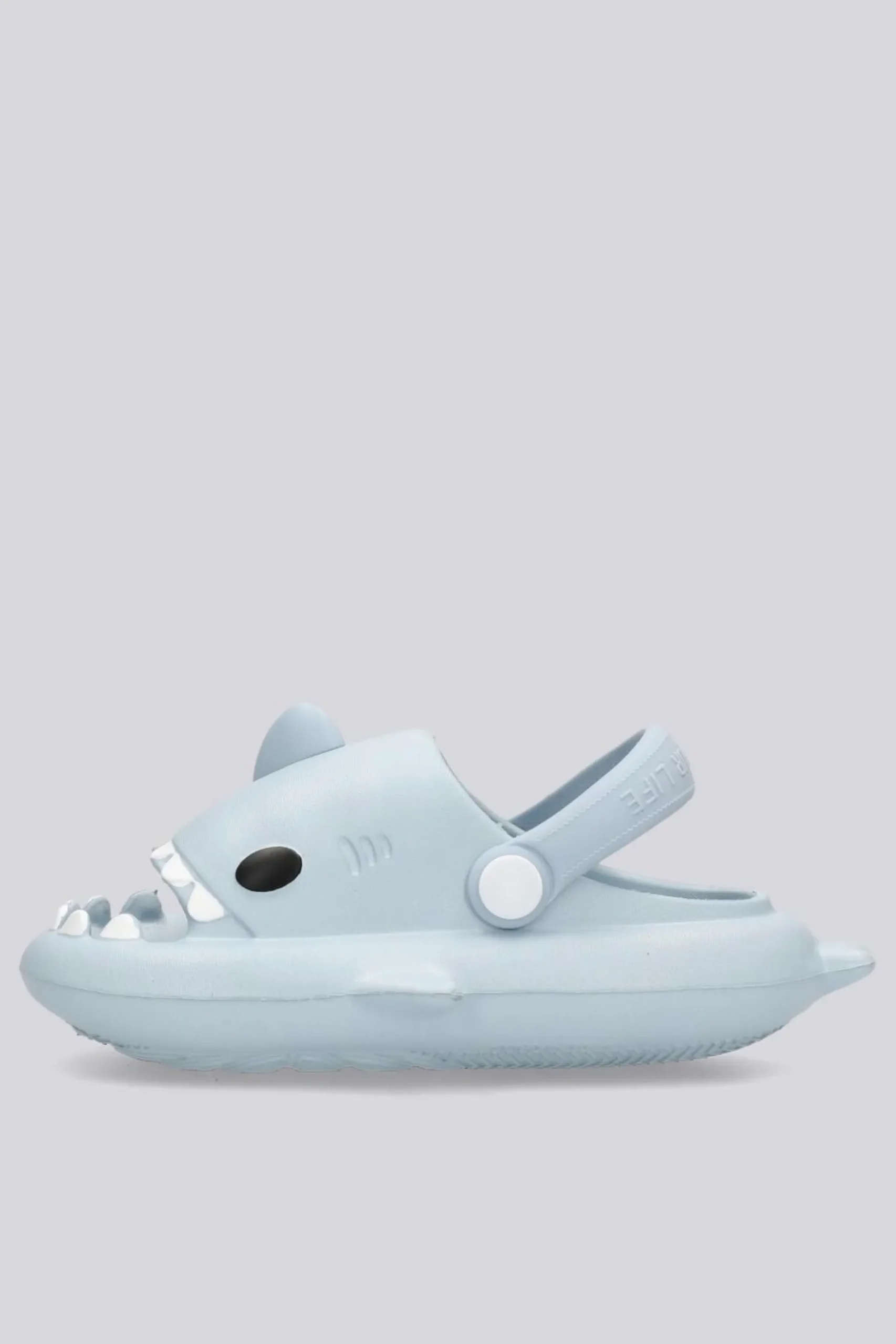 Nicoboco Shark