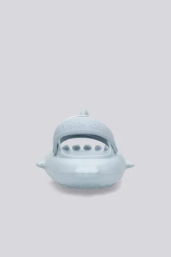 Nicoboco Shark