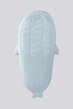 Nicoboco Shark