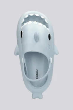 Nicoboco Shark