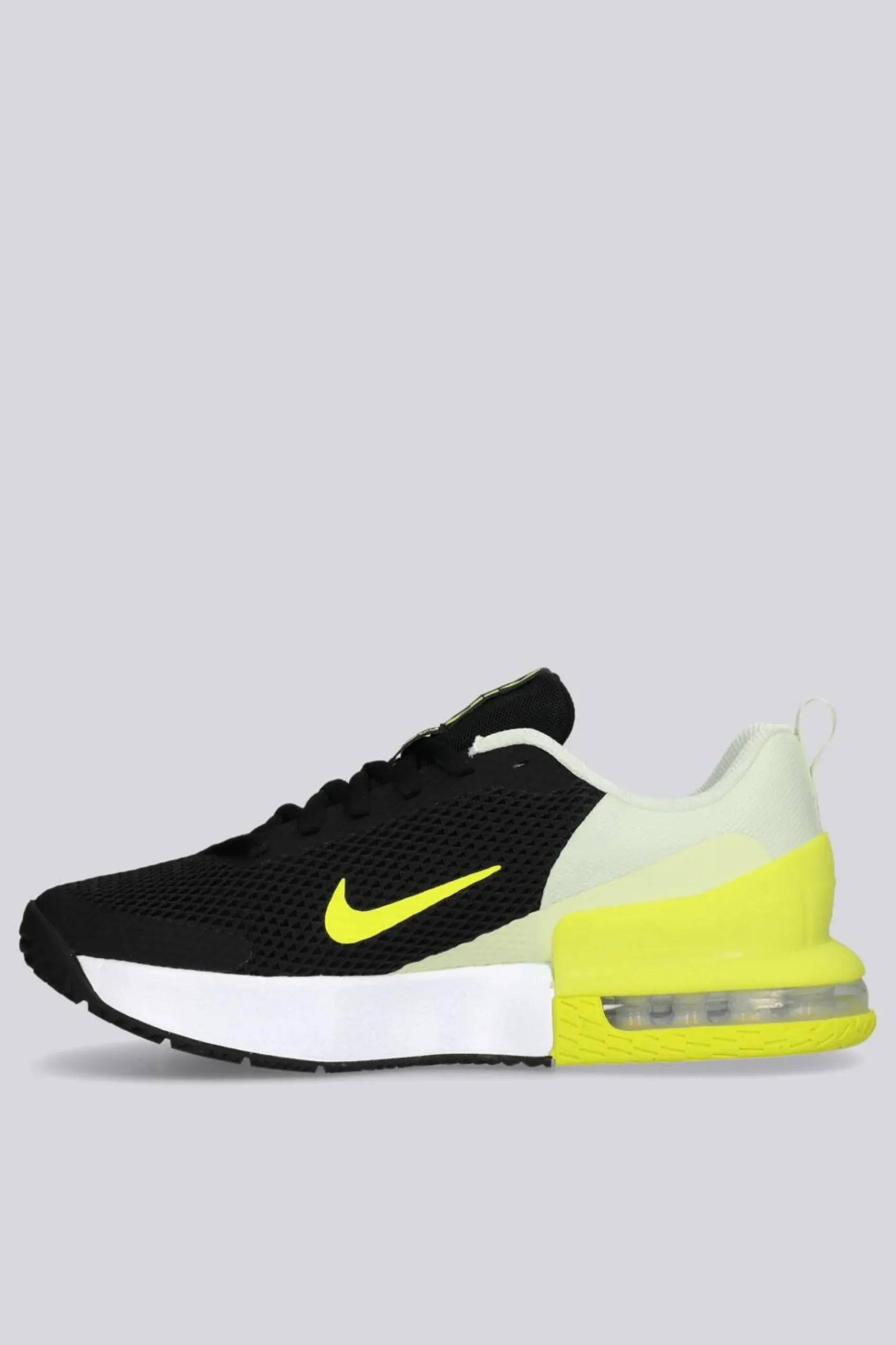 Nike Alpha Trainer 6