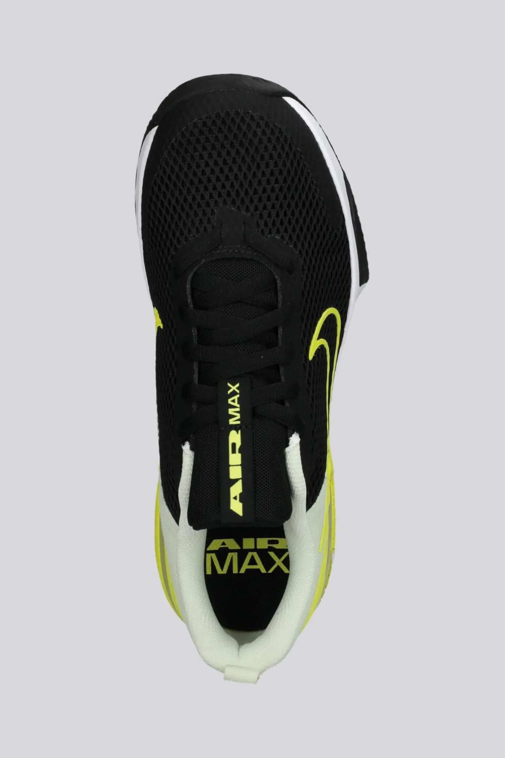 Nike Alpha Trainer 6
