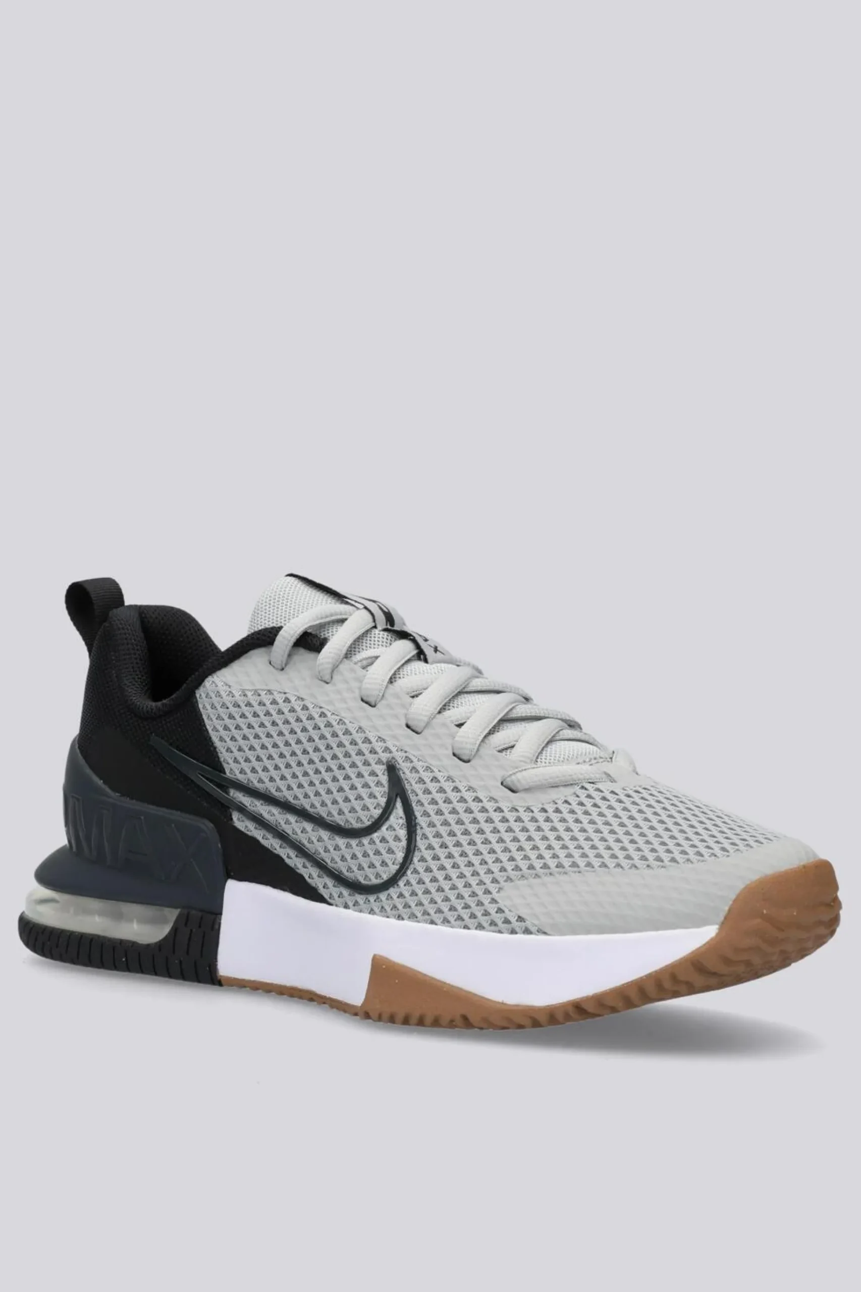 Nike Alpha Trainer 6