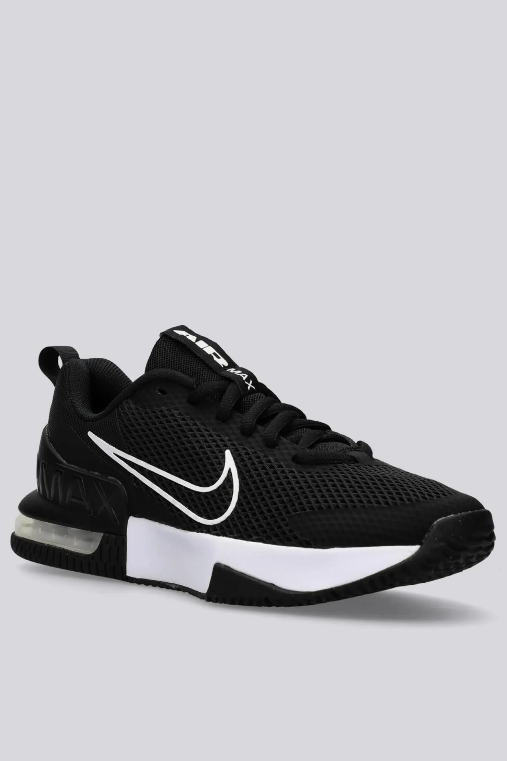 Nike Alpha Trainer 6