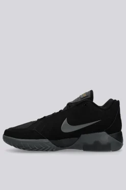 Nike Lebron Witness 9