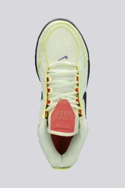 Nike Lebron Witness 9