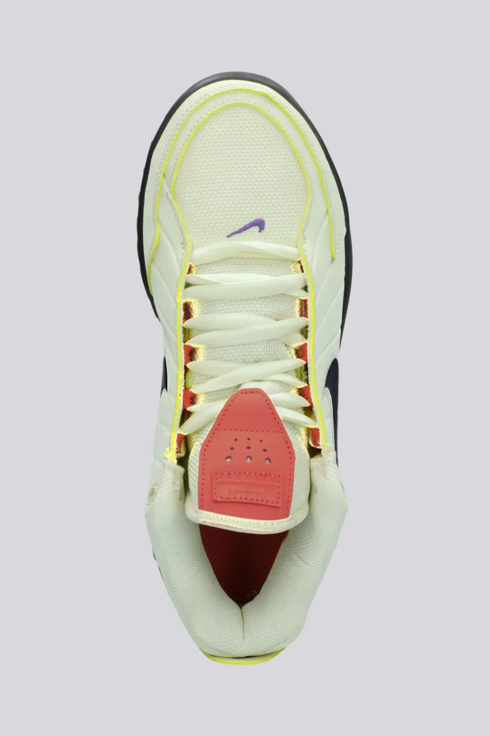 Nike Lebron Witness 9