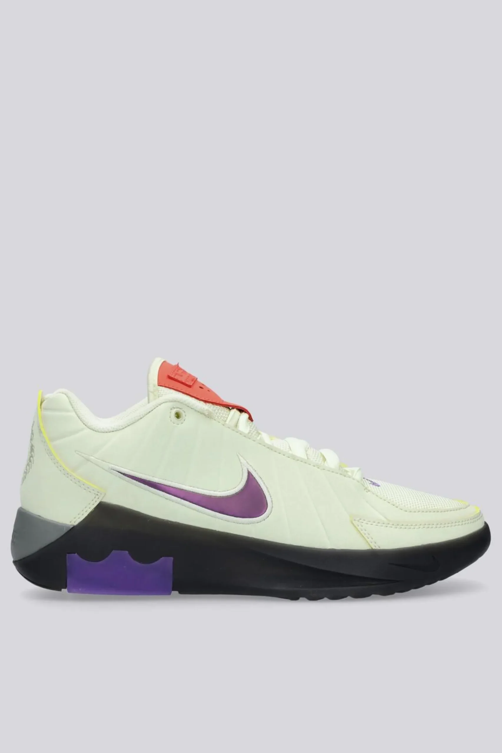 Nike Lebron Witness 9