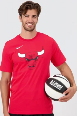 Nike NBA Chicago Bulls