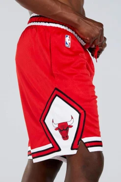 Nike NBA Chicago Bulls