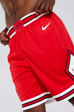 Nike NBA Chicago Bulls