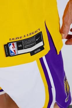 Nike NBA Los Angeles Lakers