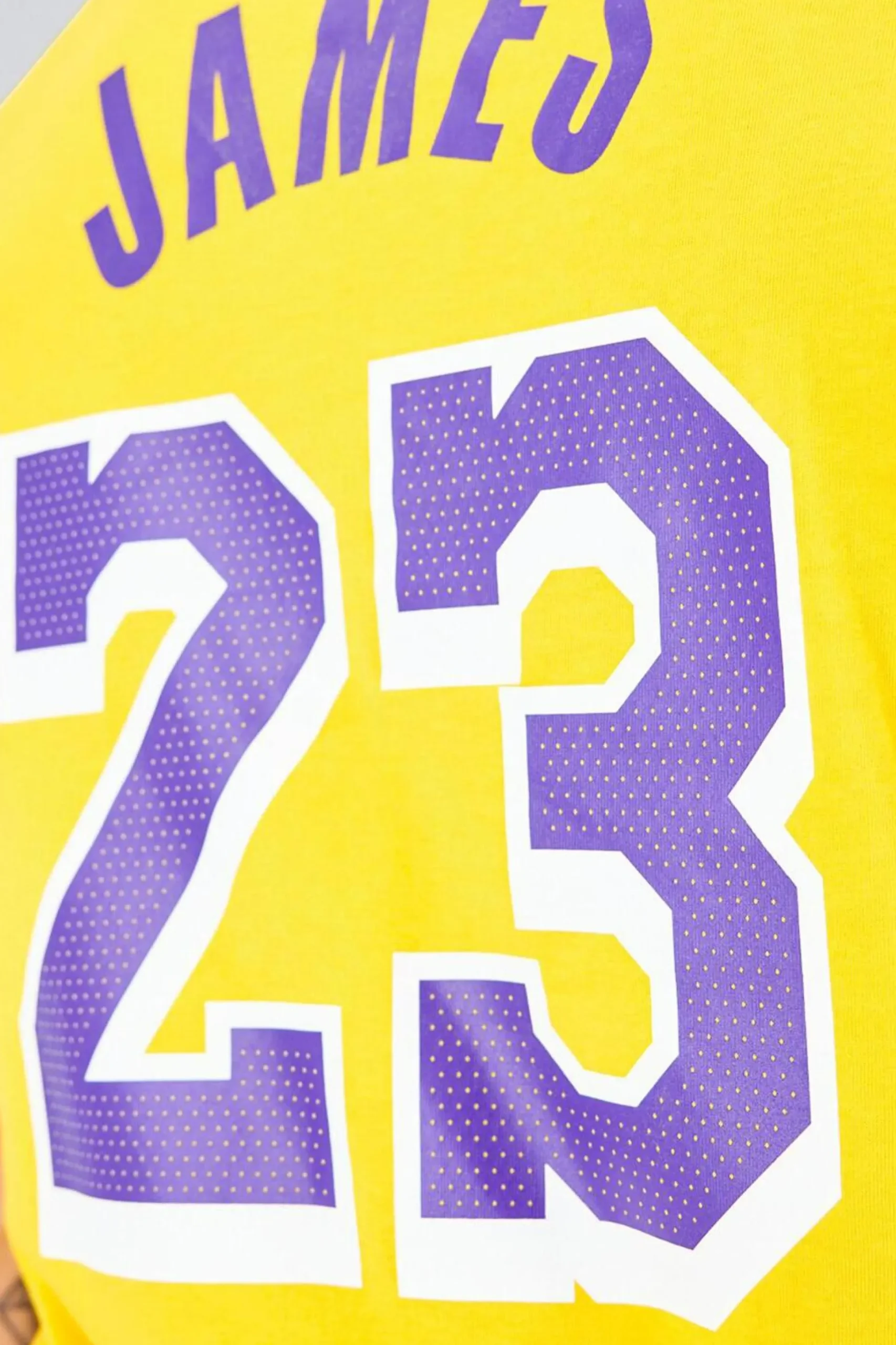 Nike NBA Los Angeles Lakers