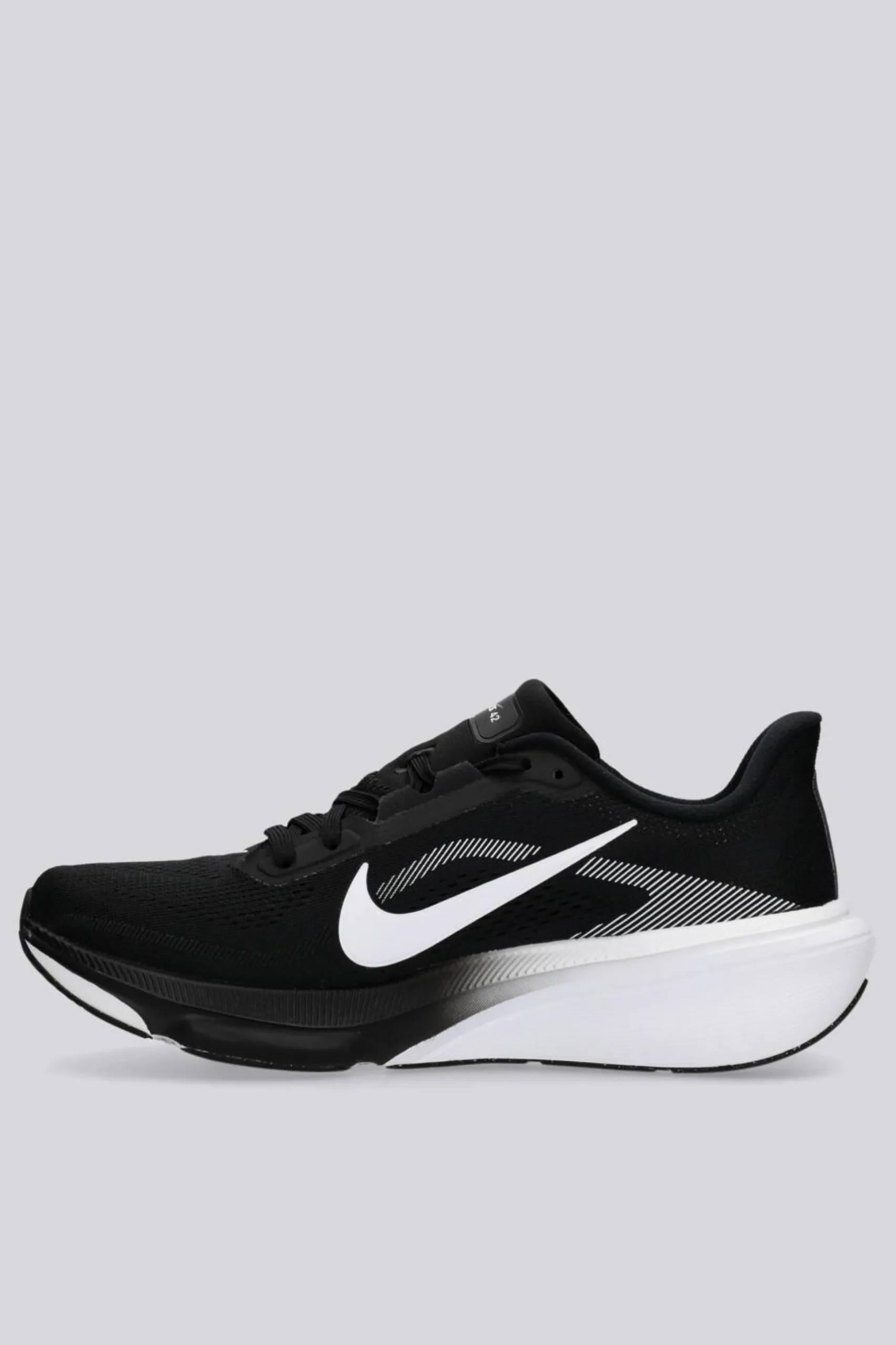 Nike Pegasus 42