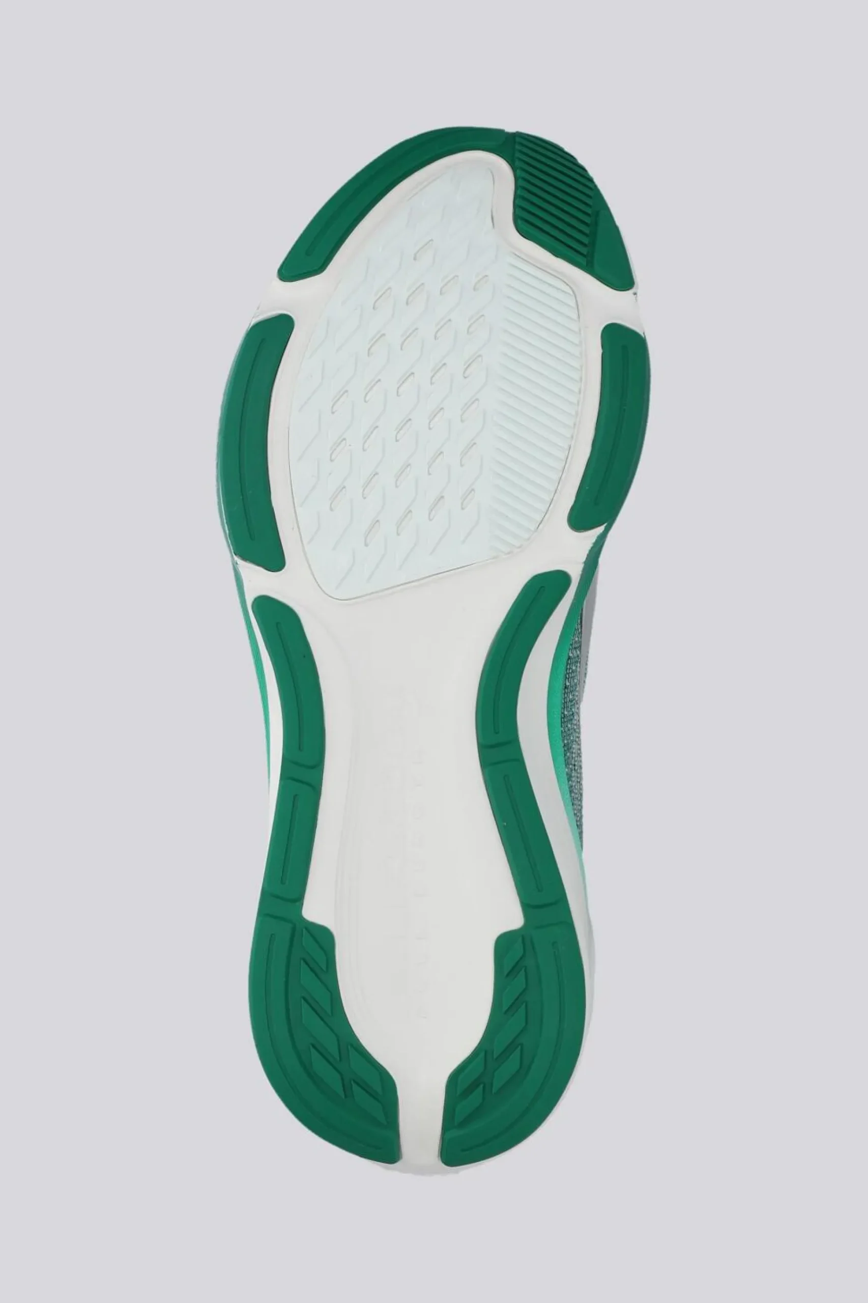 Nike Pegasus 42