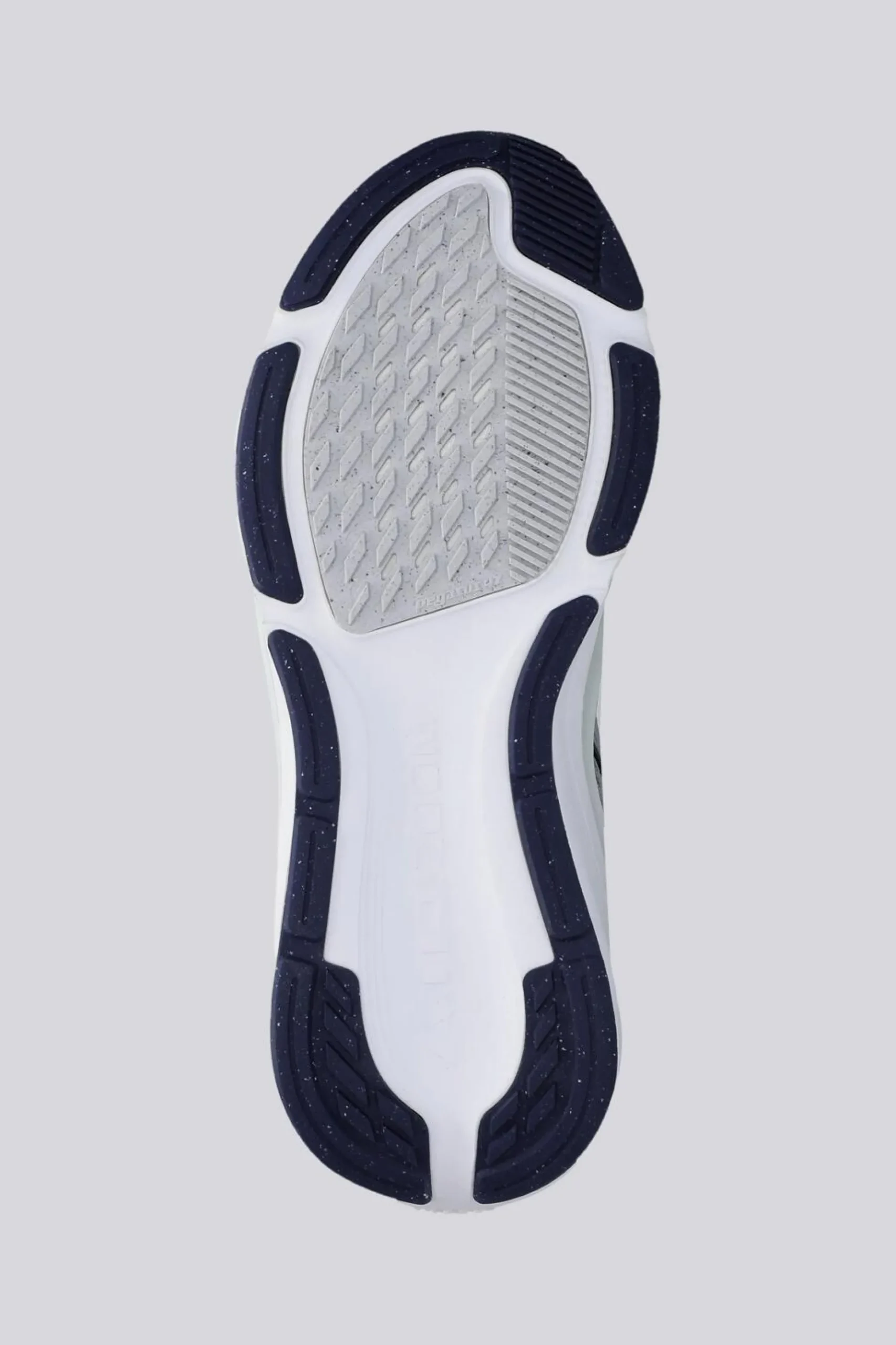 Nike Pegasus 42