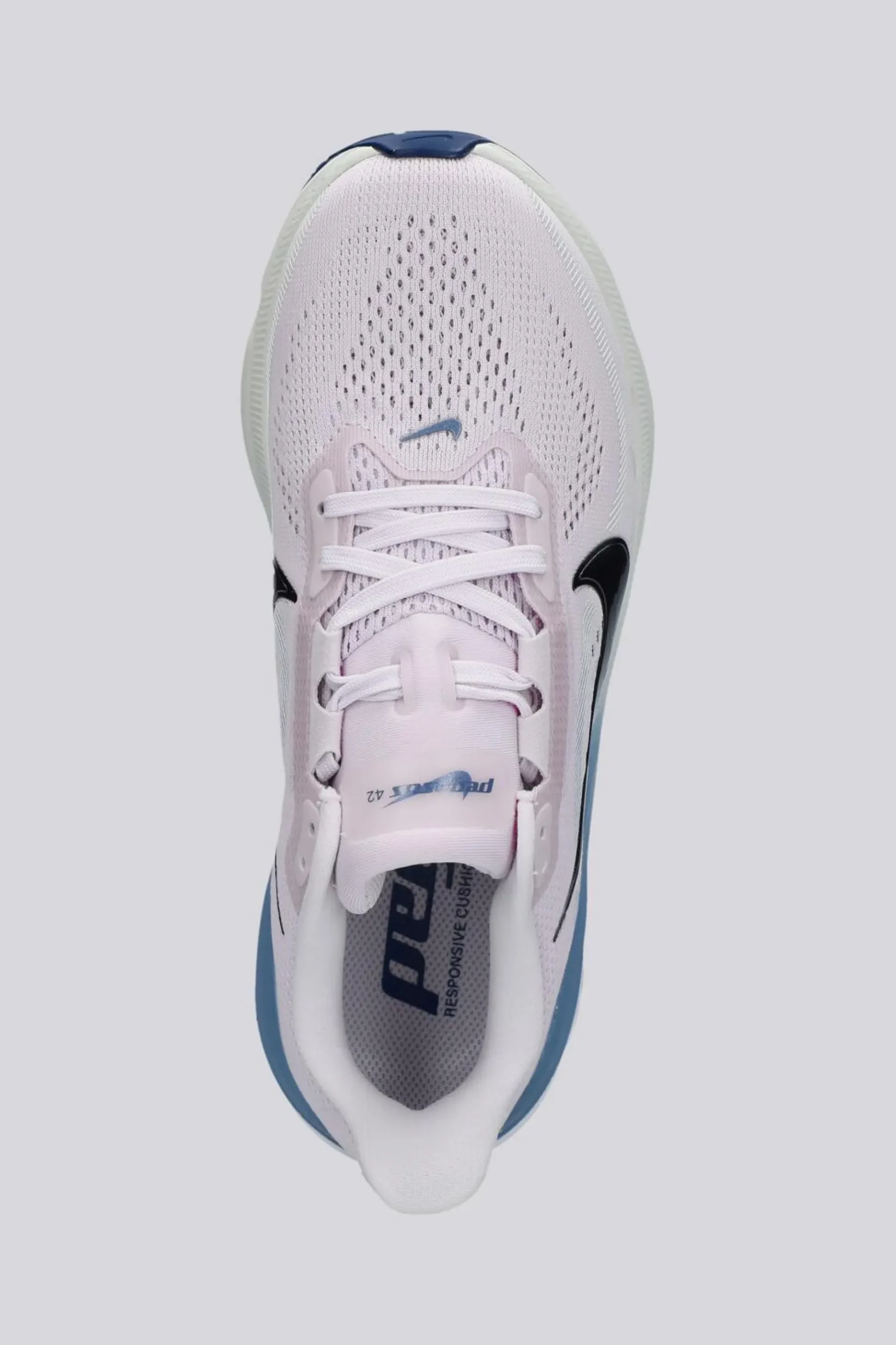 Nike Pegasus 42