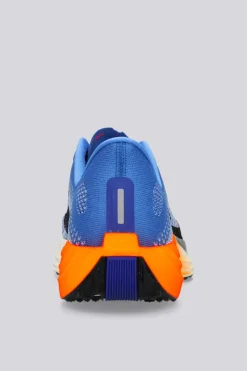Nike Pegasus Plus