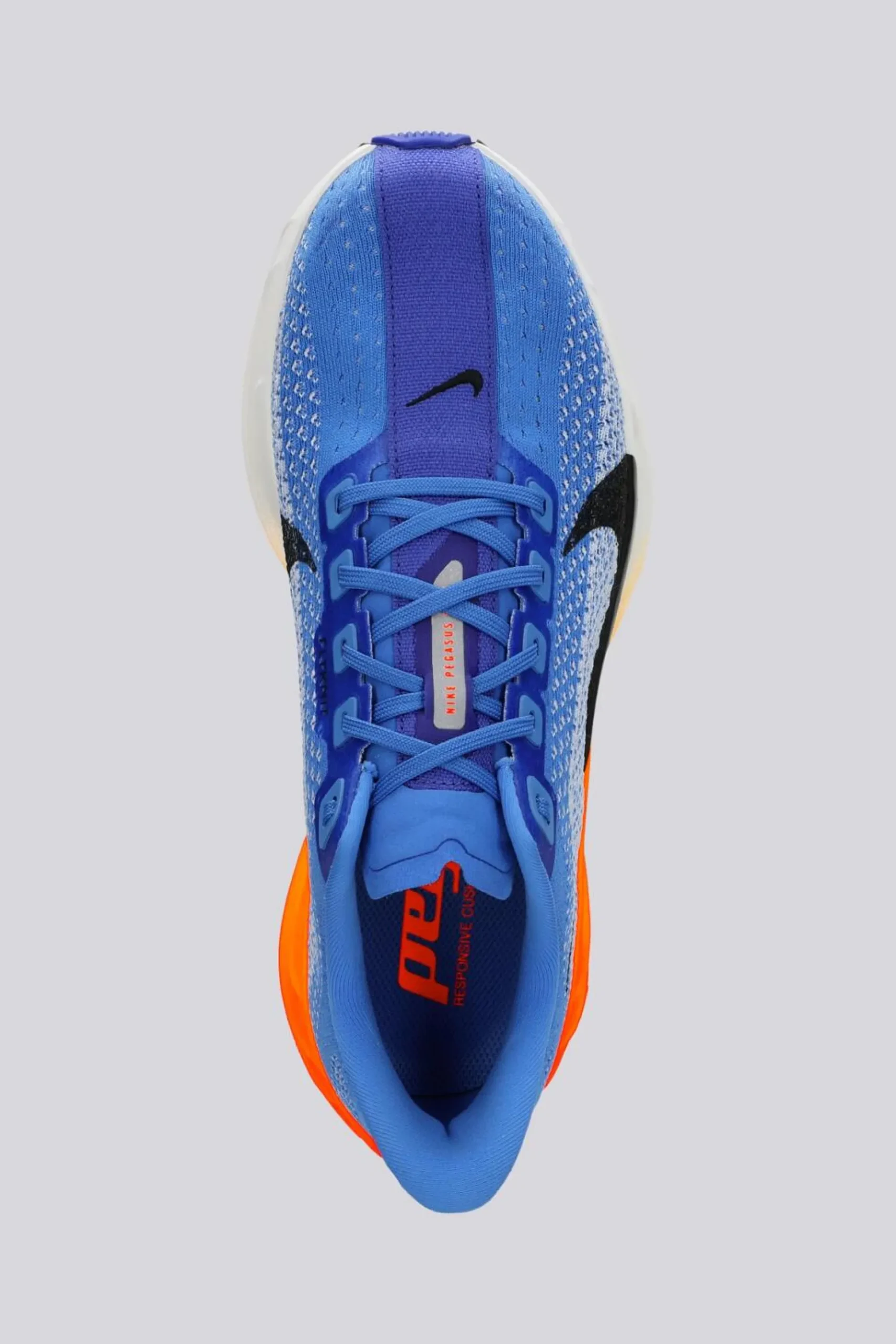 Nike Pegasus Plus