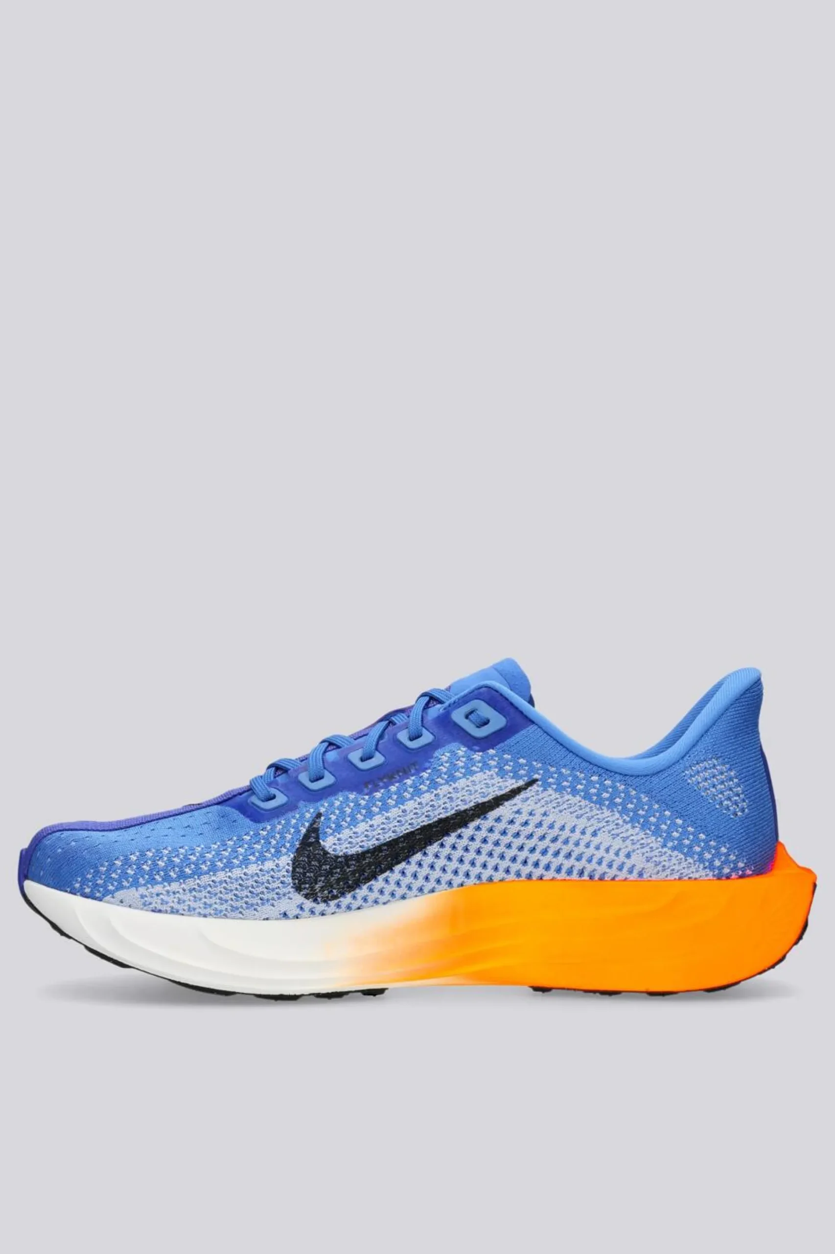 Nike Pegasus Plus