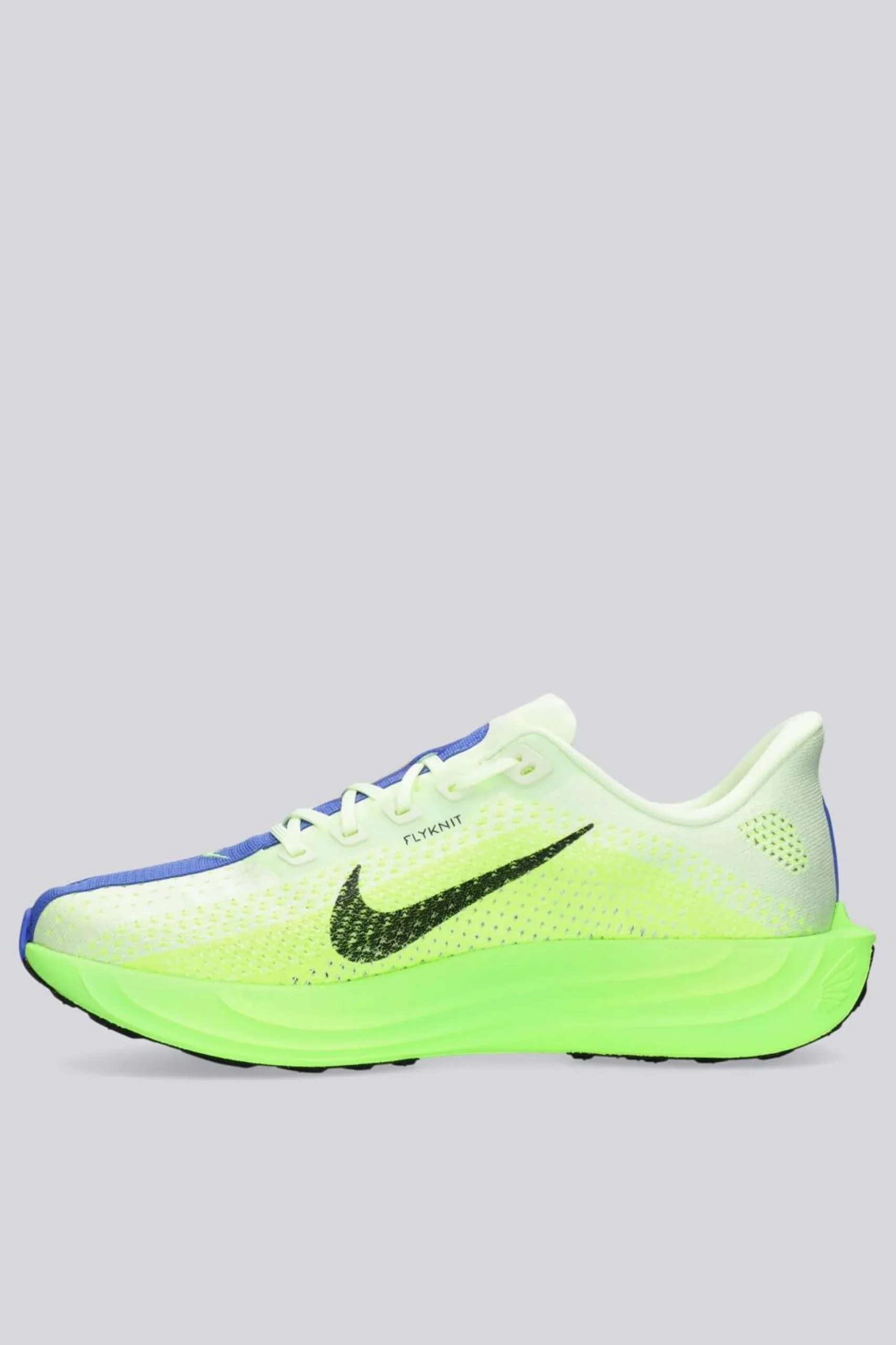 Nike Pegasus Plus