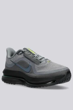 Nike Pegasus Premium