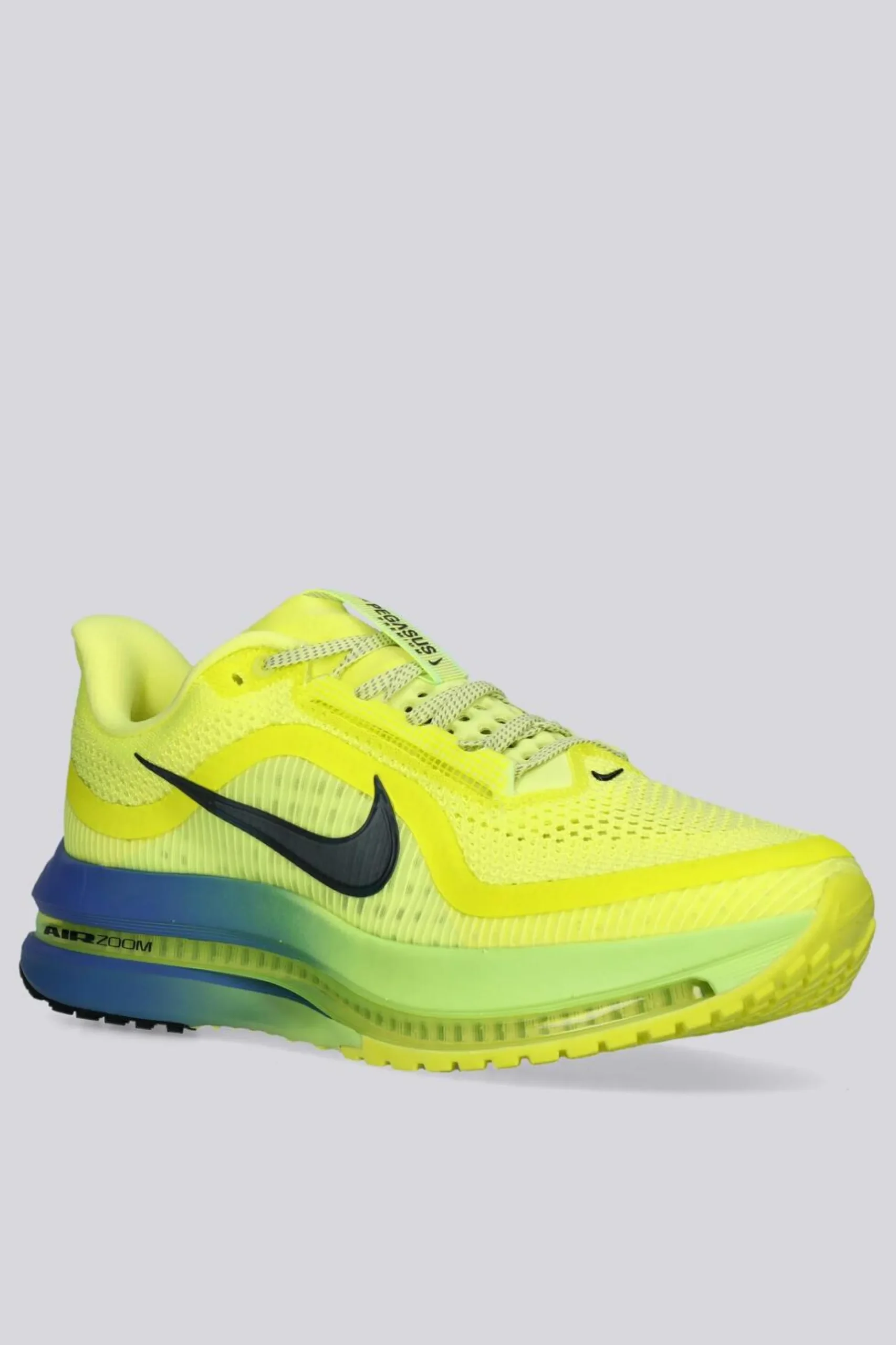 Nike Pegasus Premium