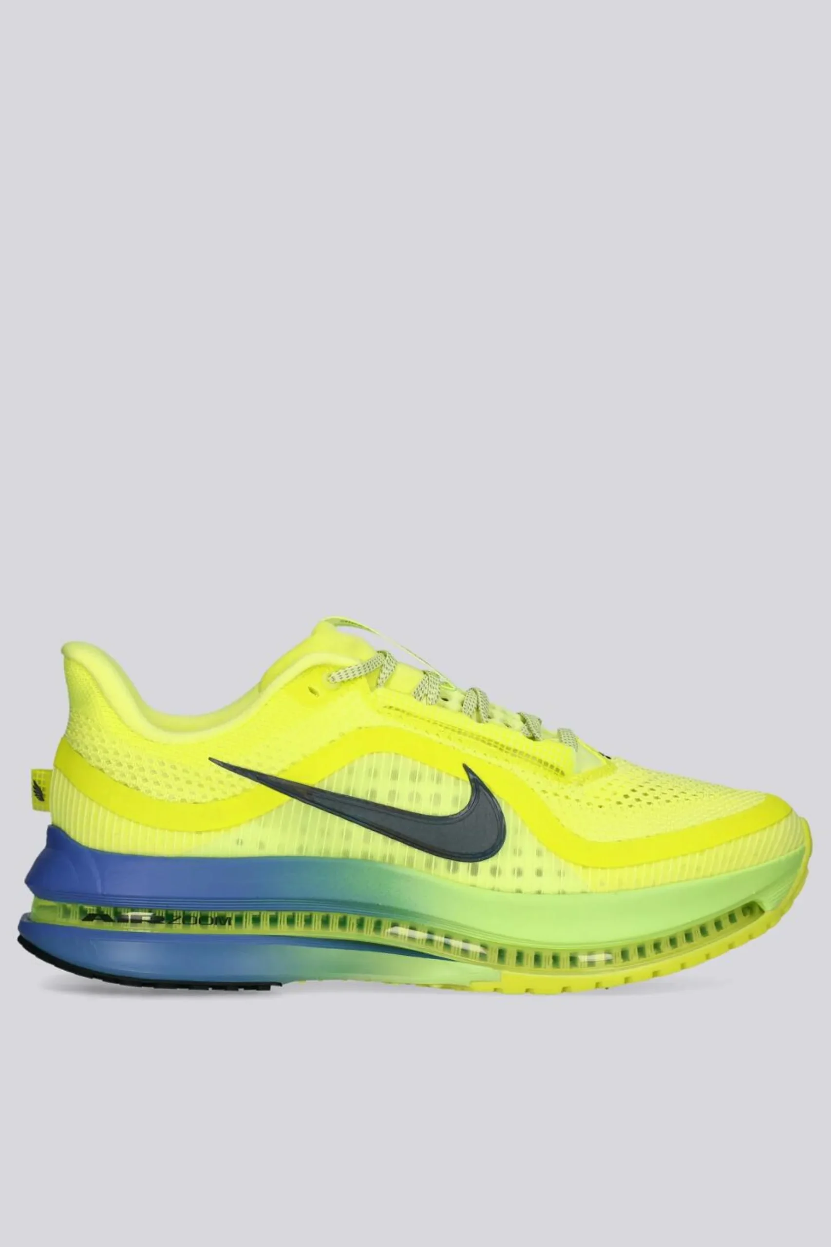 Nike Pegasus Premium