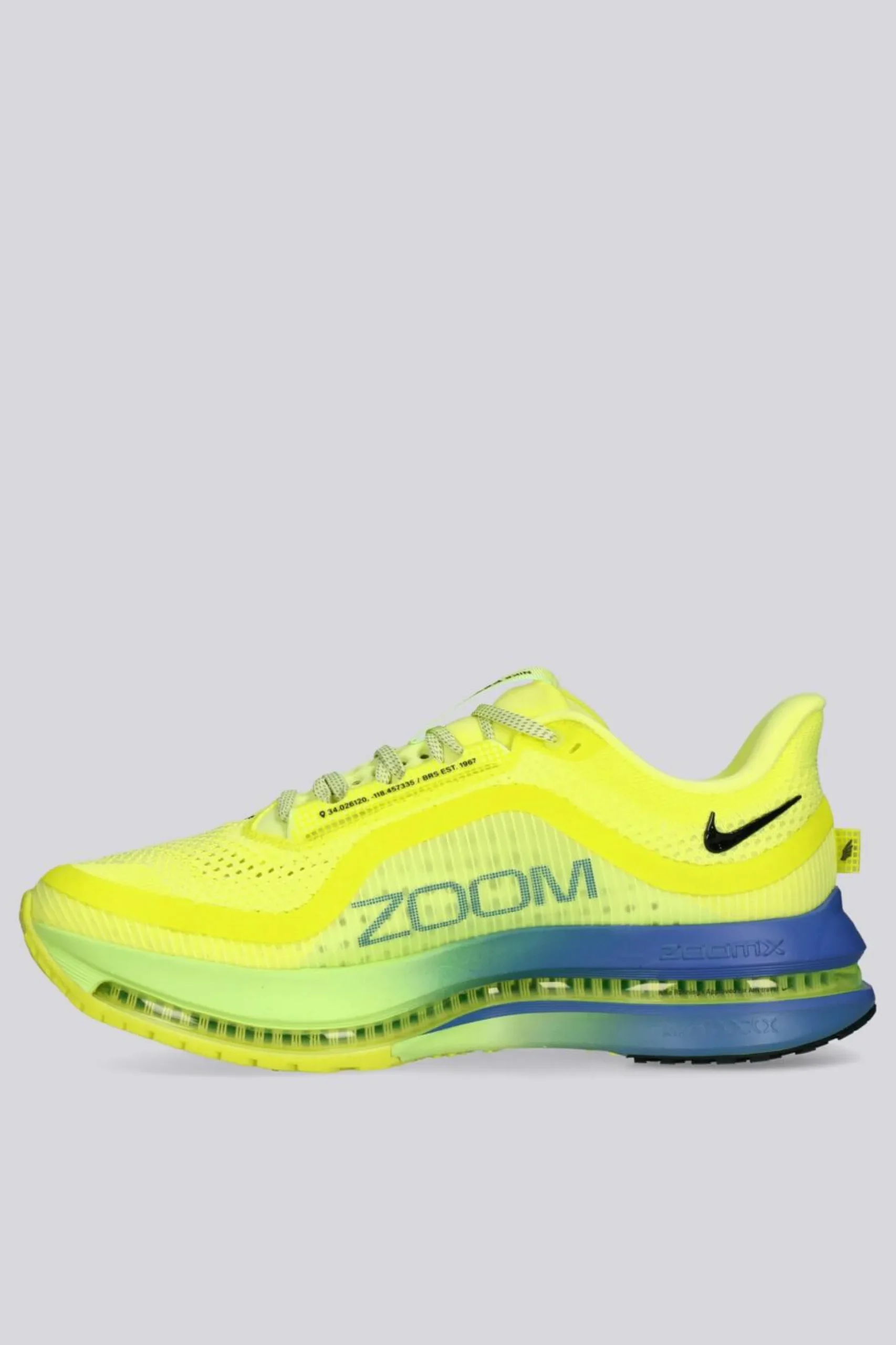 Nike Pegasus Premium