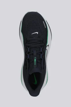 Nike Winflo 12