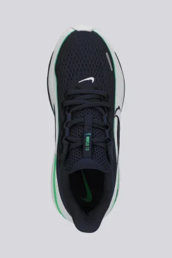 Nike Winflo 12
