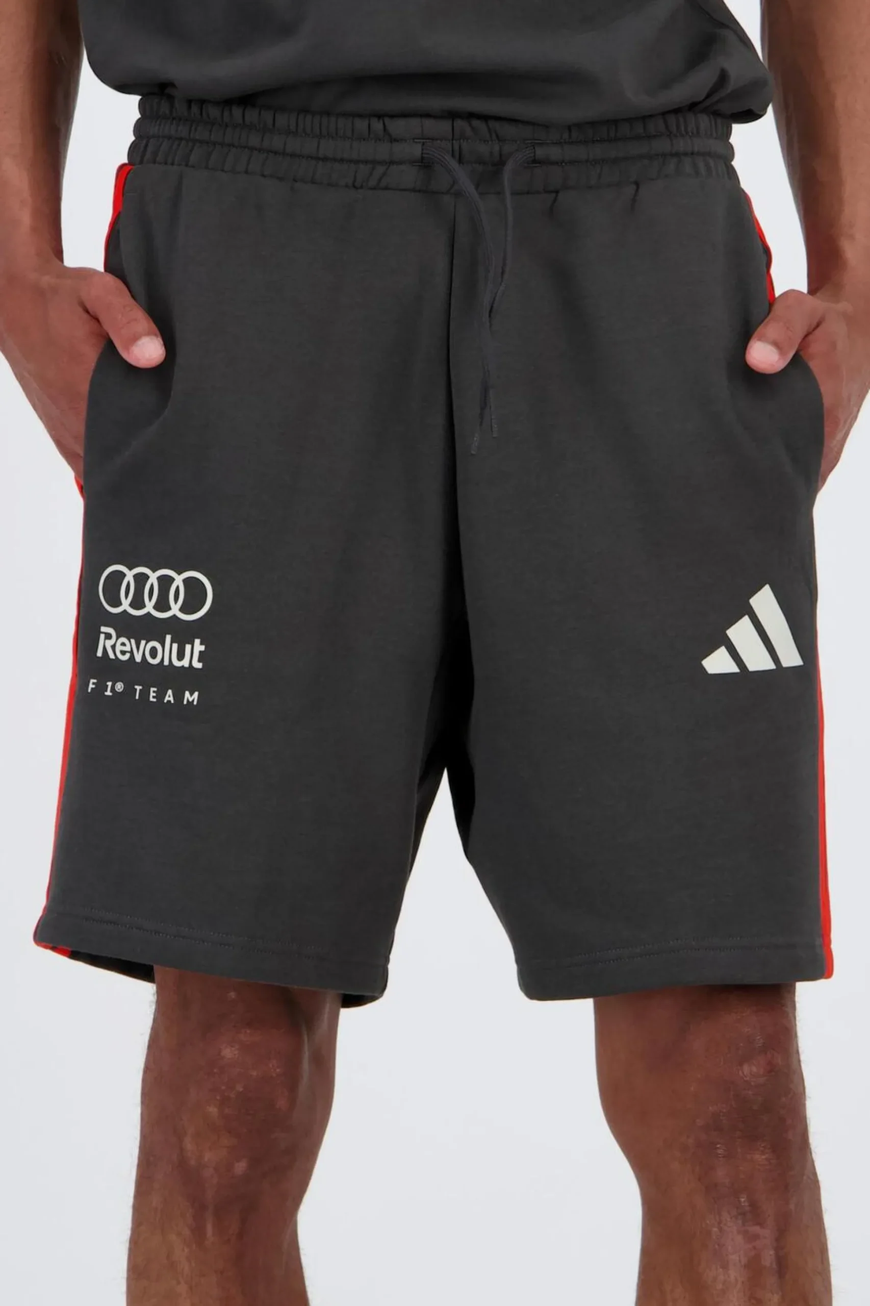 Pantalón Audi