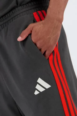Pantalón Audi