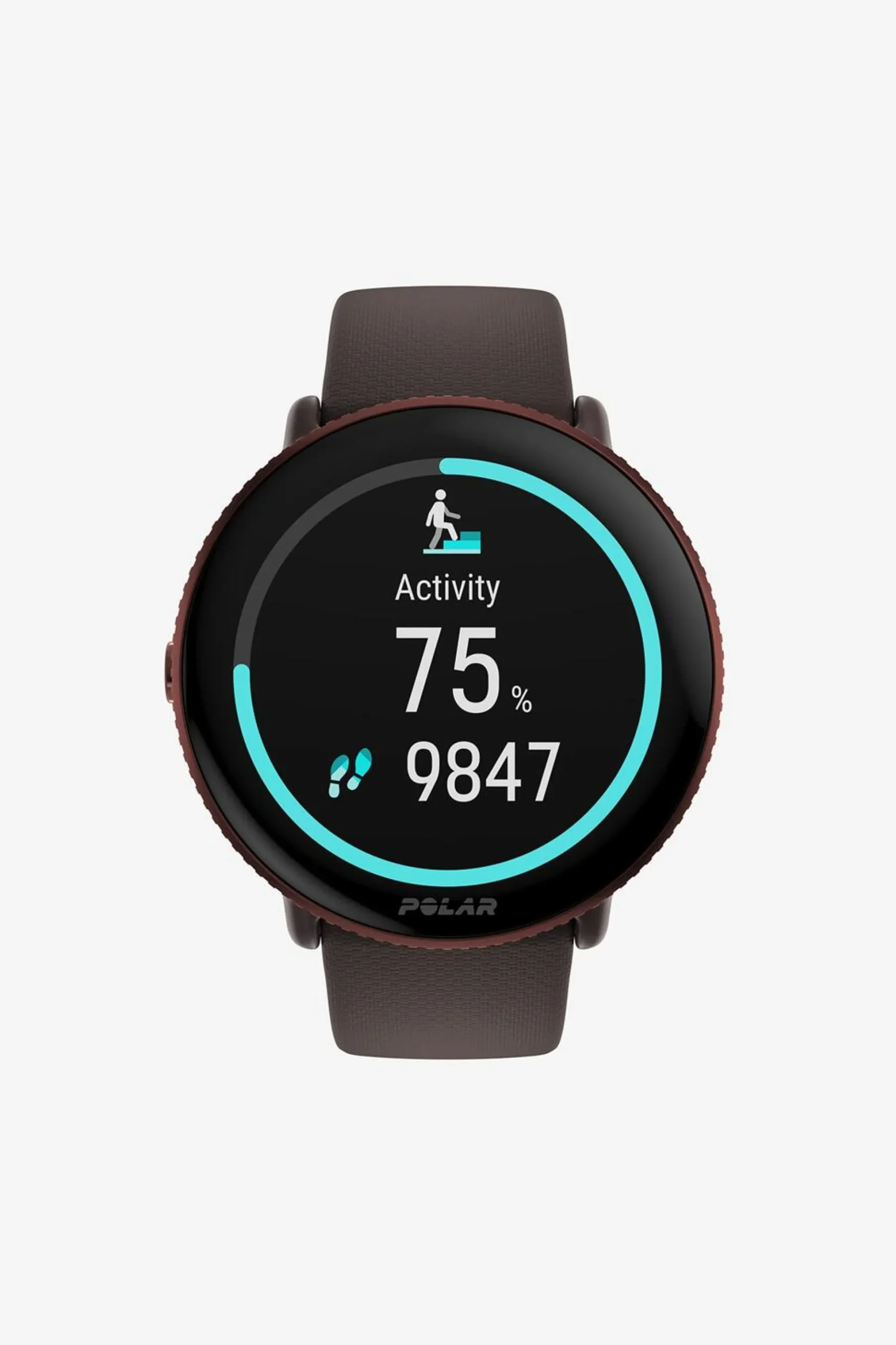 Polar Ignite 3