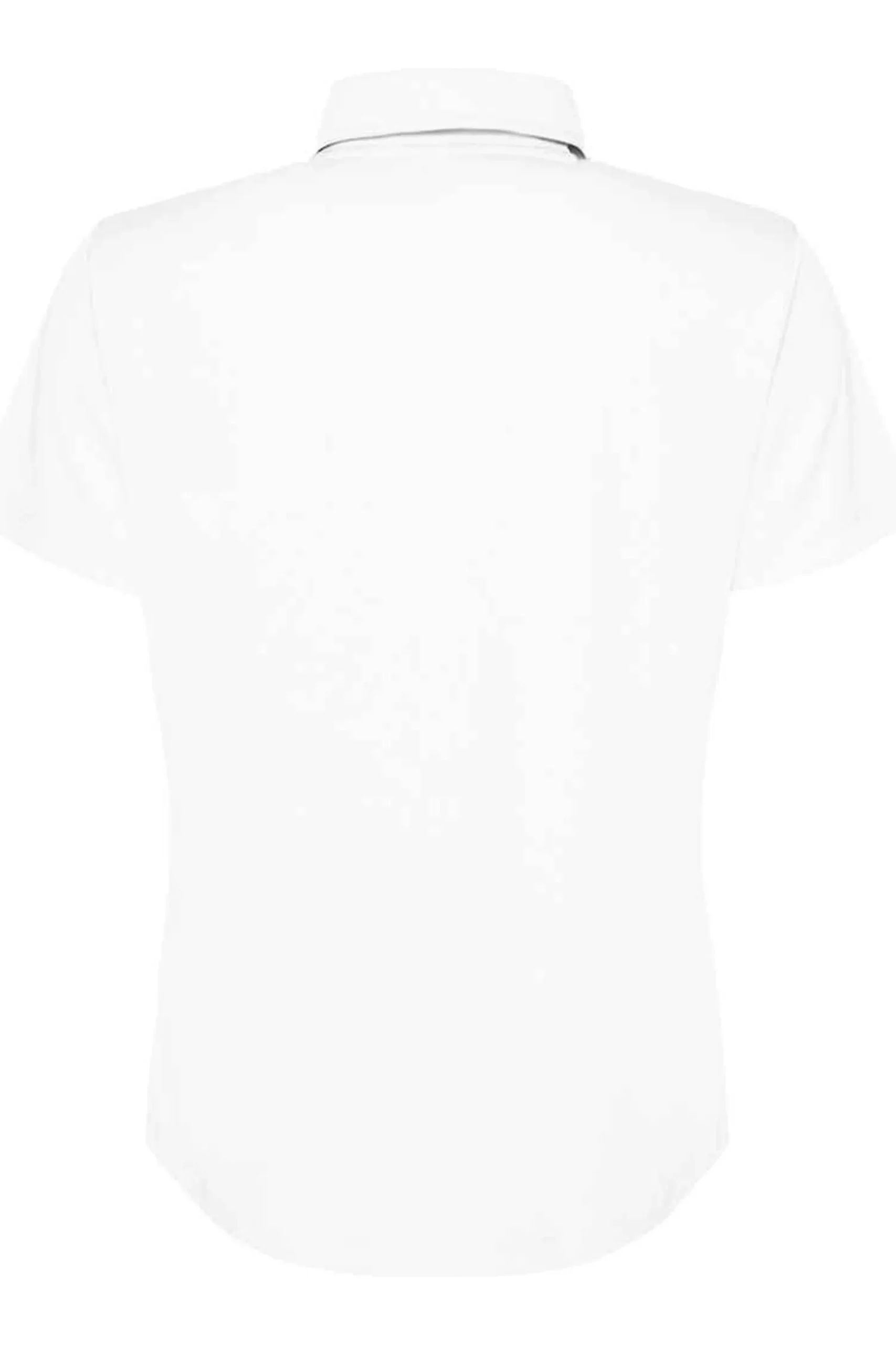 Polo Awdis