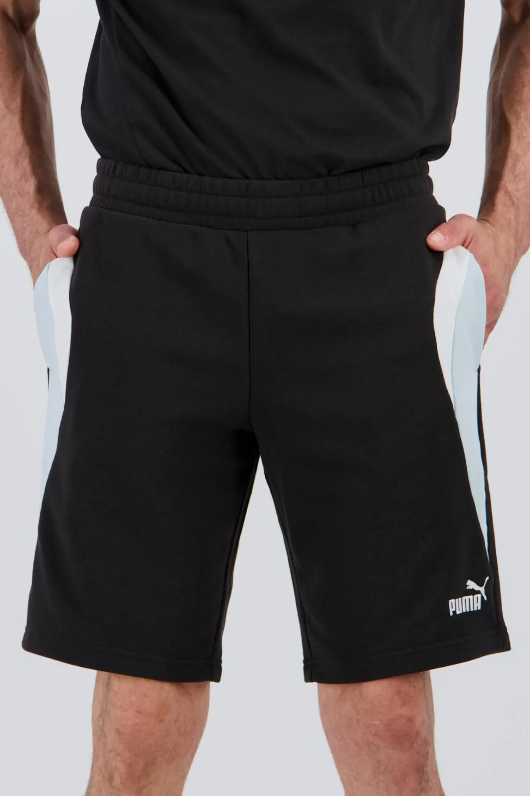 Puma Block