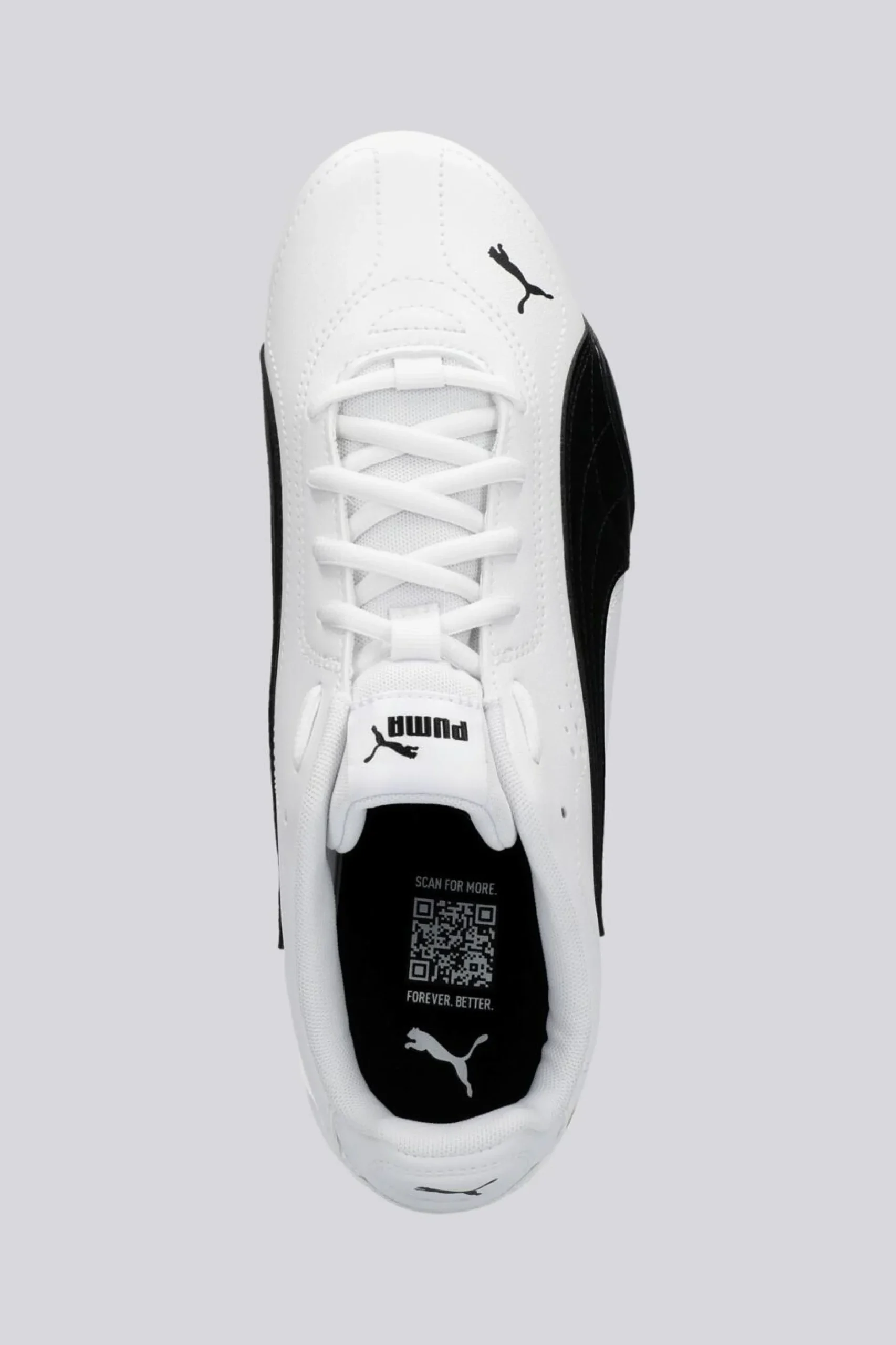 Puma Catch