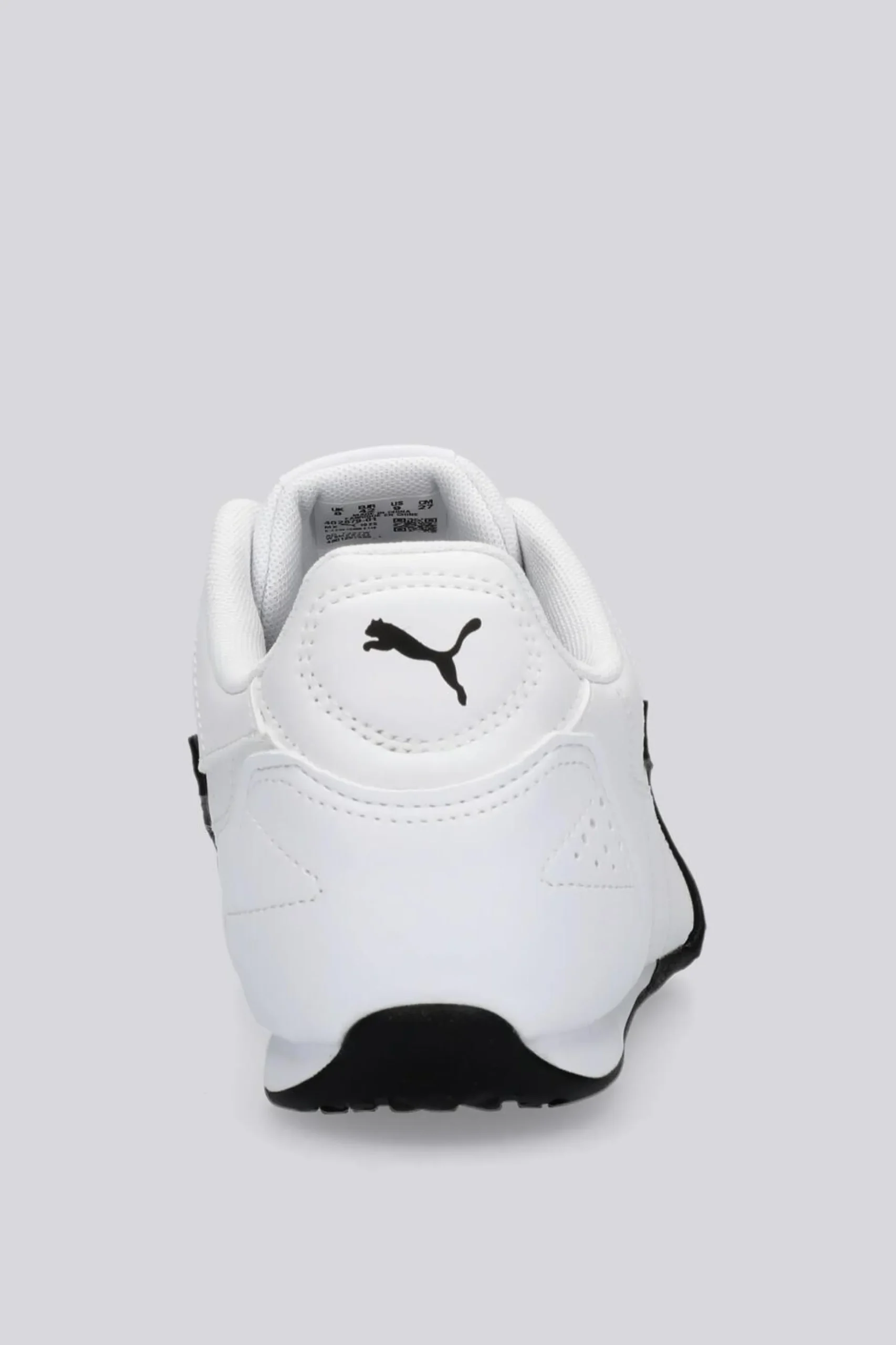 Puma Catch